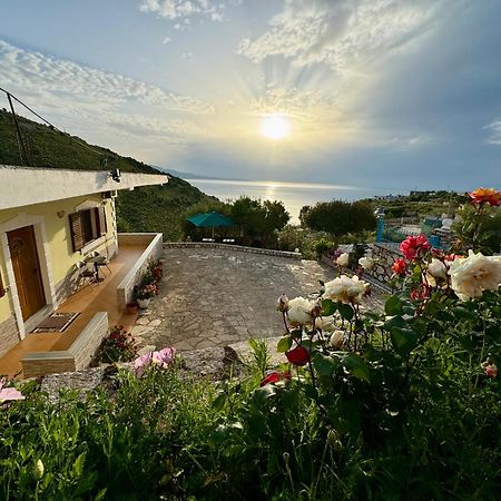 Vila Paza Sarandë 外观 照片