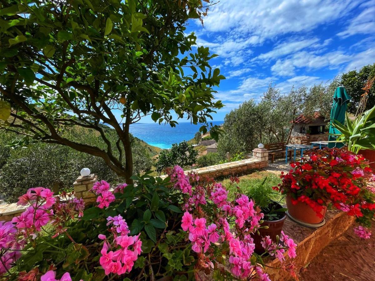 Vila Paza Sarandë 外观 照片