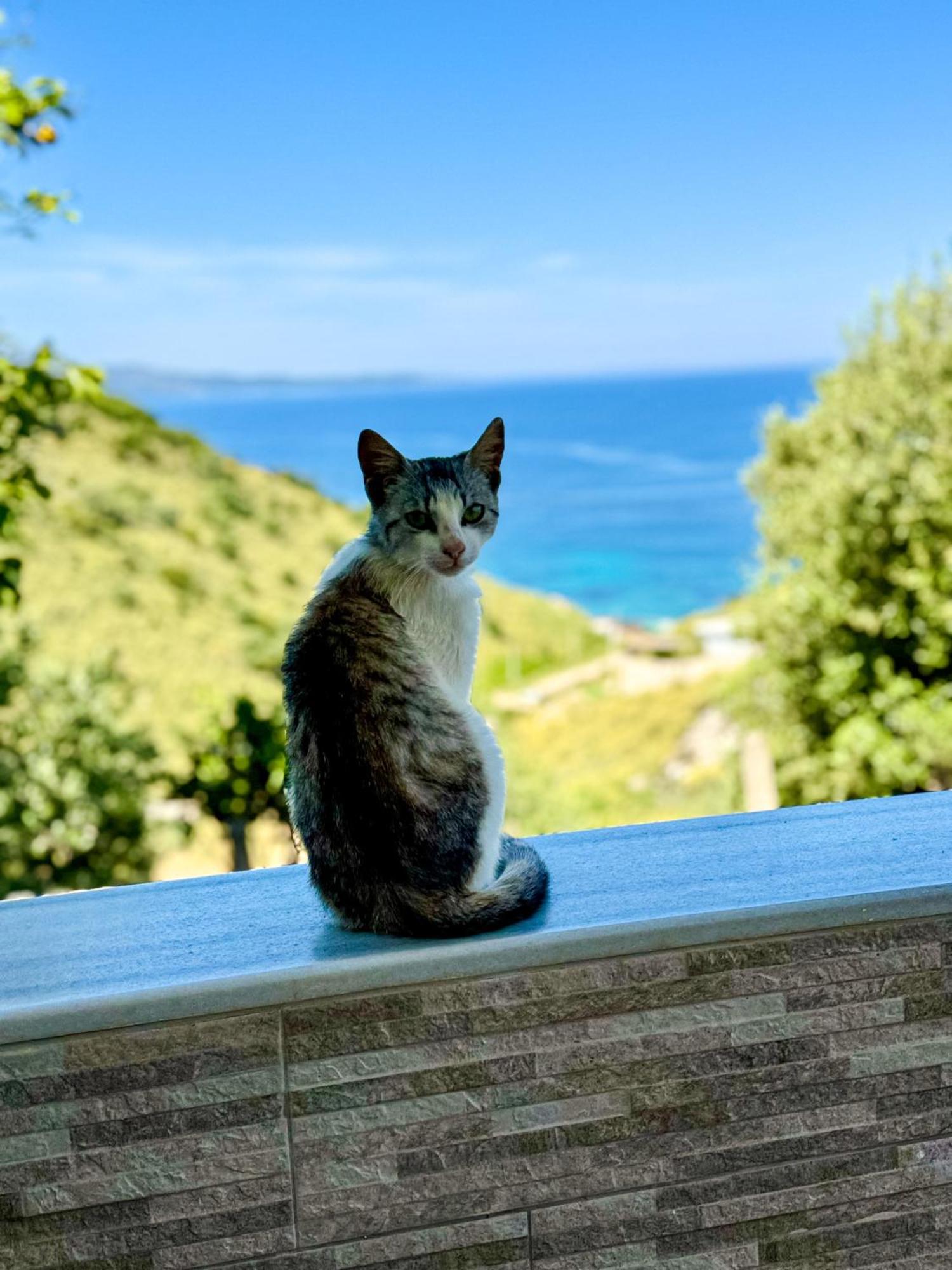 Vila Paza Sarandë 外观 照片