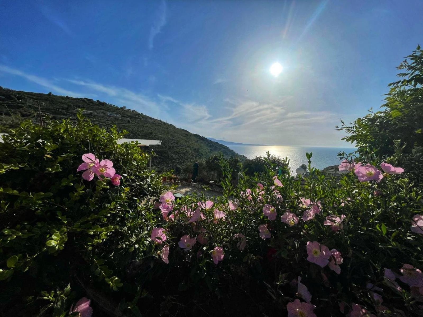 Vila Paza Sarandë 外观 照片
