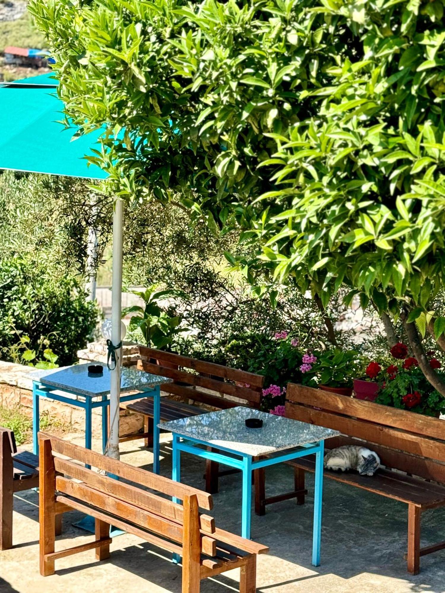 Vila Paza Sarandë 外观 照片